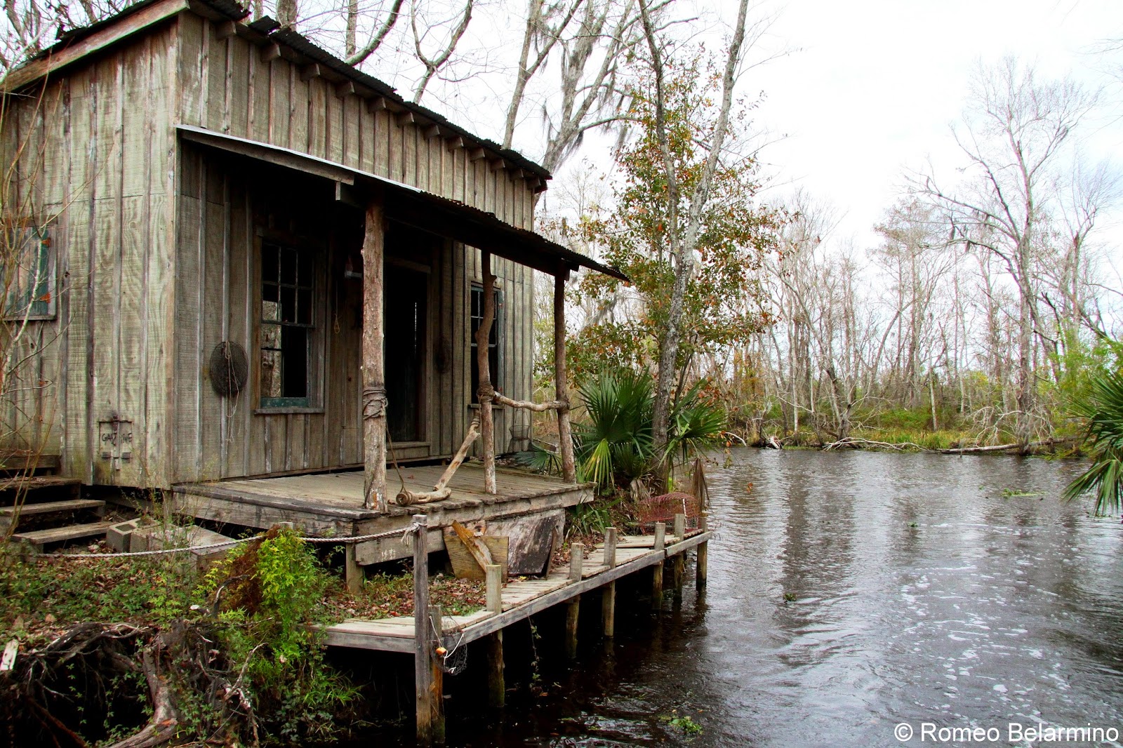 Alligator Hunting on a New Orleans Swamp Tour Travel the World