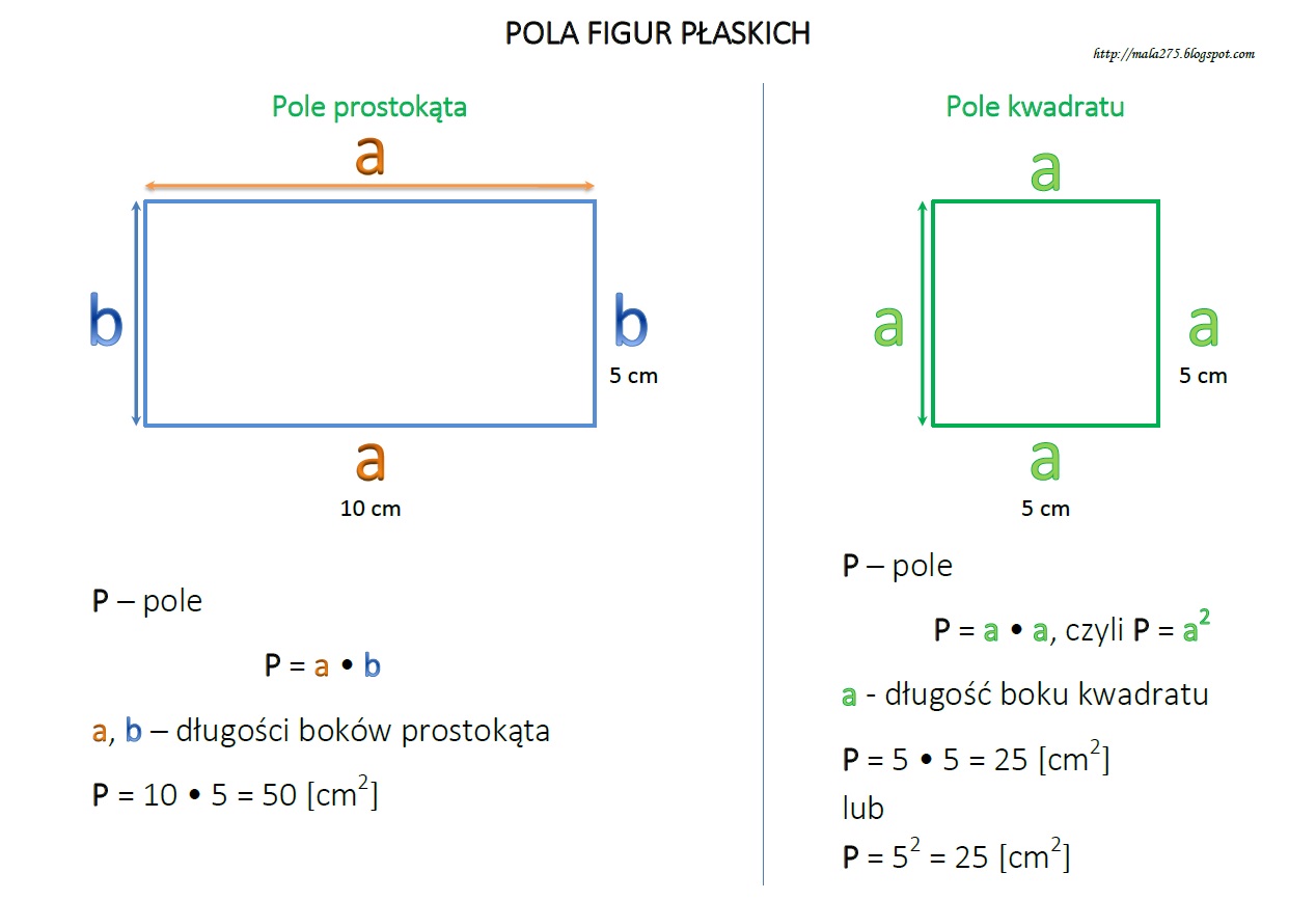 Jak Sie Liczy Pole Prostokąta Szóstaki z SP4 liczą: Pole prostokąta i kwadratu
