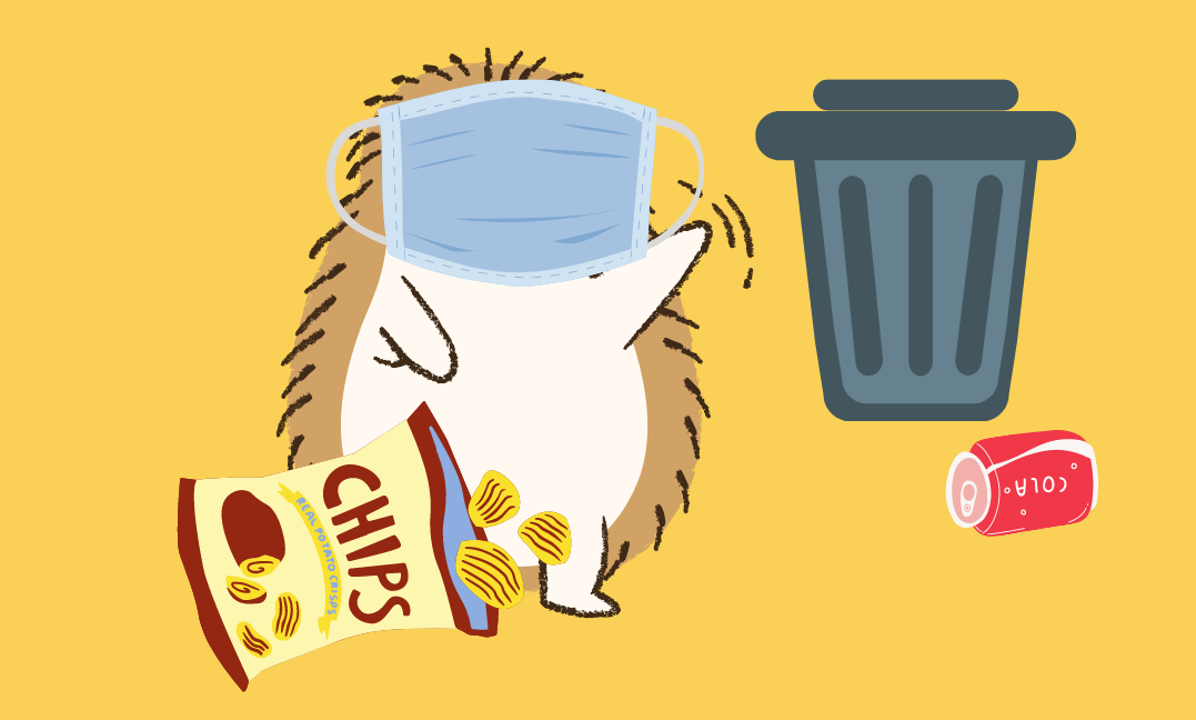 Kingston University Biodiversity Action Group 10 things for Hedgehogs