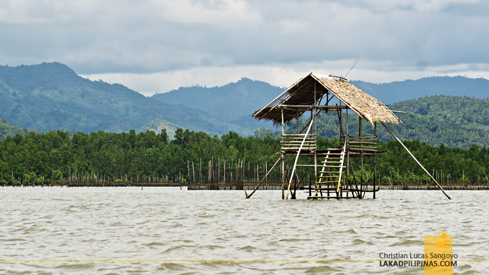Siay Kabasalan Wetlands Zamboanga Sibugay