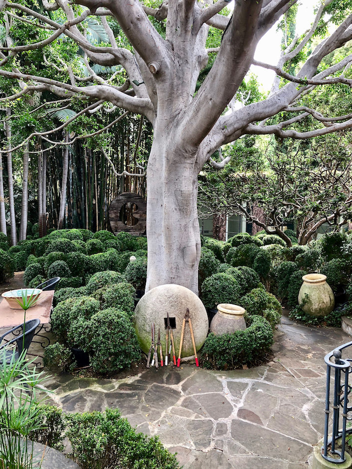 ������� ��� �� ����� Richard-Shapiro-gard