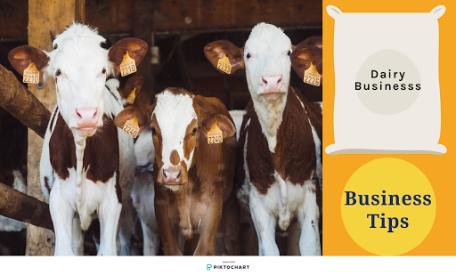 Dairy farming business
