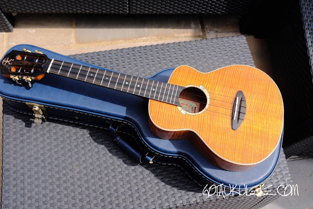 GOT A UKULELE - Ukulele reviews and beginners tips: aNueNue ANN