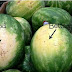 How to Pick the Best Watermelon