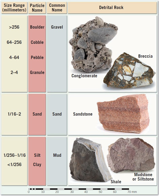 amudu Particle size categories for various detrital sedimentary rocks.