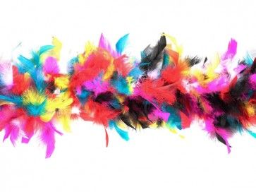 Coloured Feather Boa