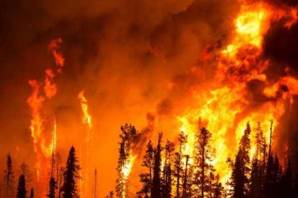 Incendio forestales en alaska deja cenizas a decenas de viviendas y centenares de evacuados. Incendio forestales en alaska deja cenizas a decenas de viviendas y centenares de evacuados.