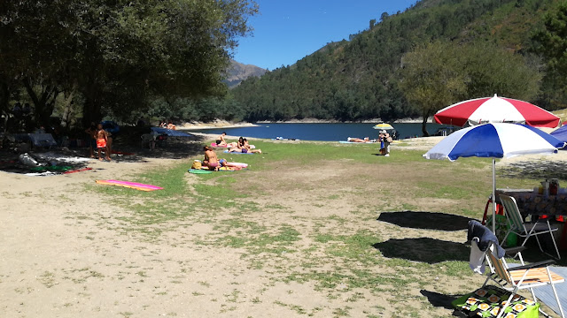 Zona verdejante na Praia da Barca