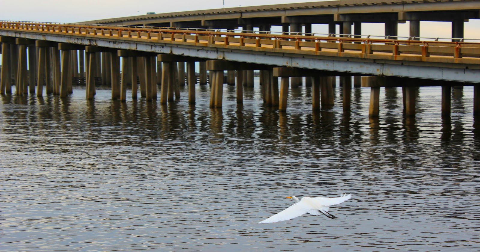 The Barthet Gallery The Pass Manchac Bridge