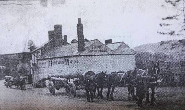 Image result for the dog at dunley