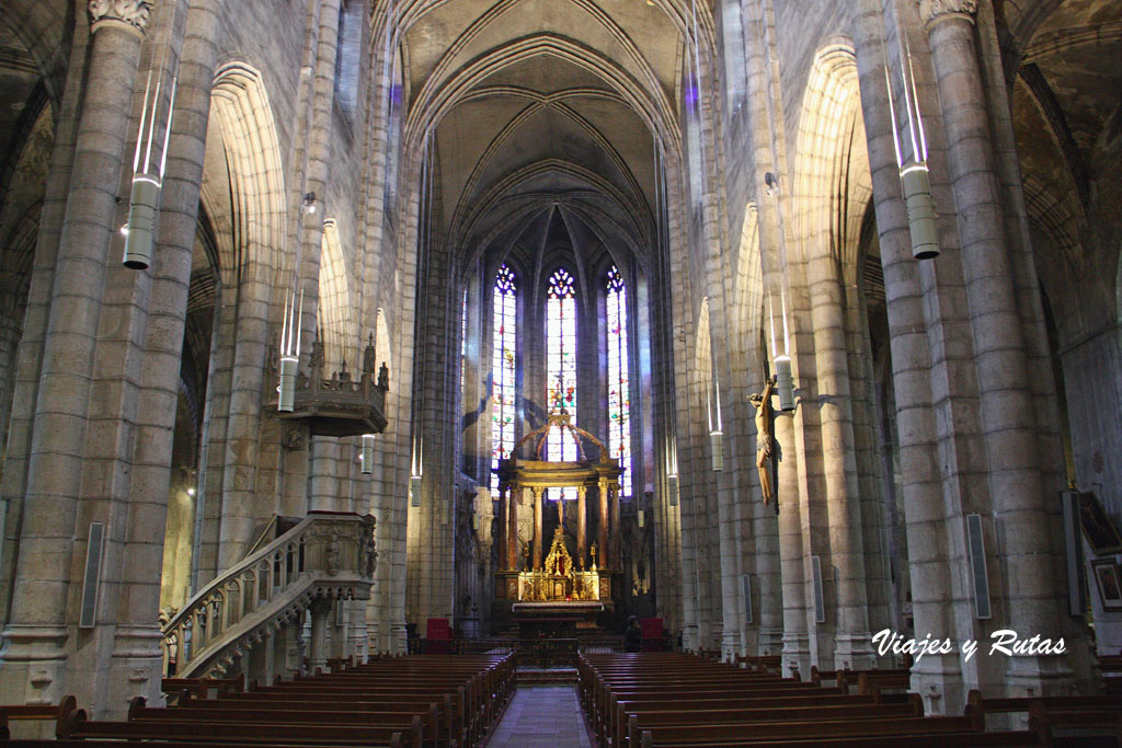 Colegiata de Saint Salvi de Albi