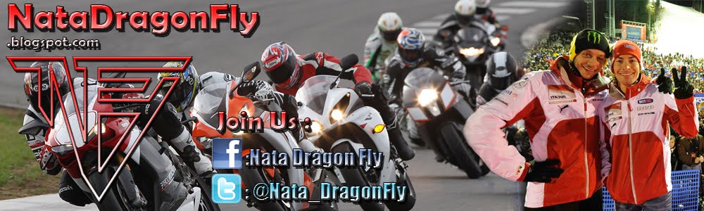 Nata Dragon Fly