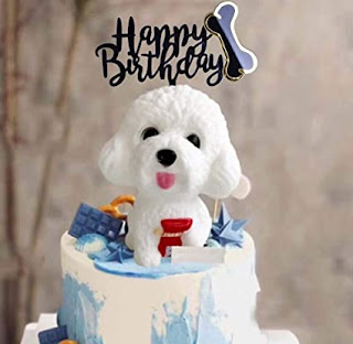  birthday wishes for Dog