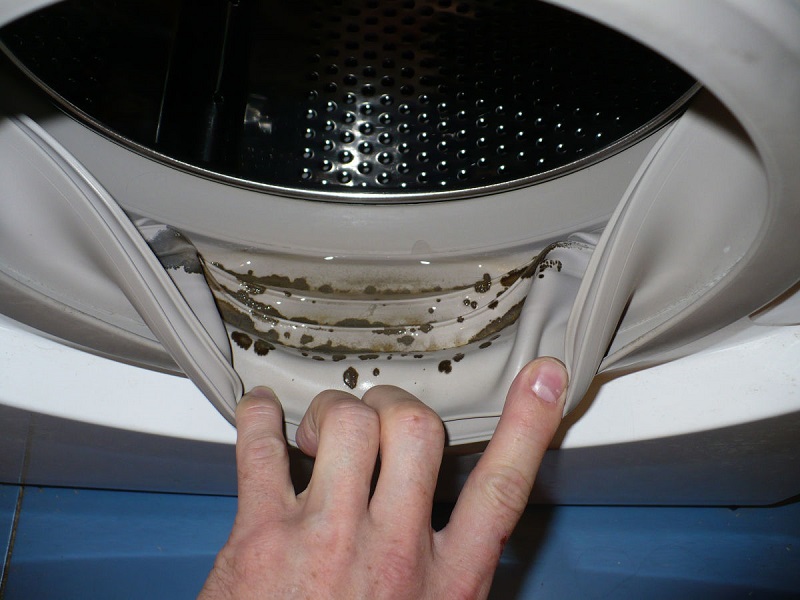 Health Medicine How To Remove Mold From The Washing Machine To Prevent
