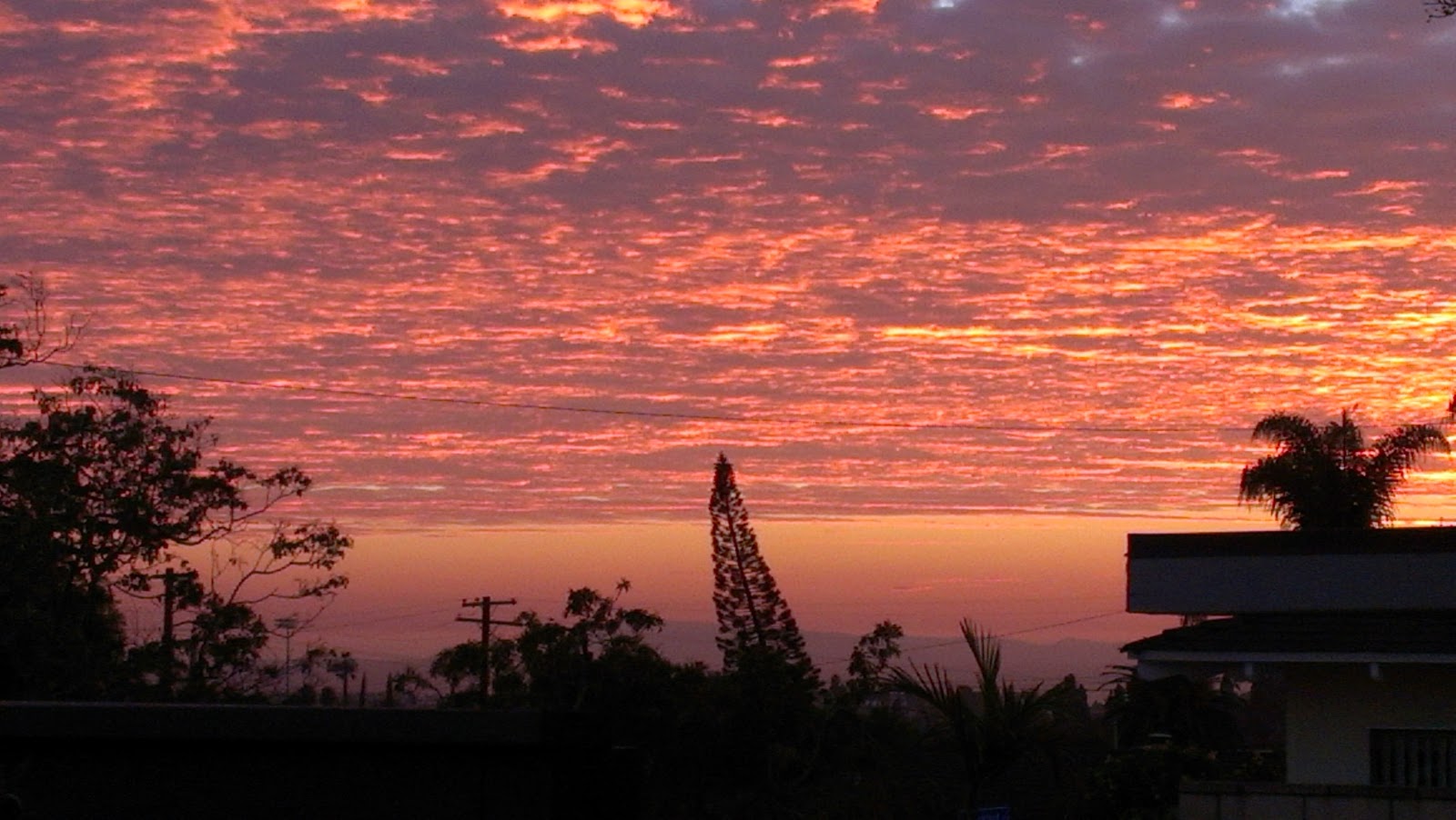 WaveFront Surf Shop Ventura Sunsets