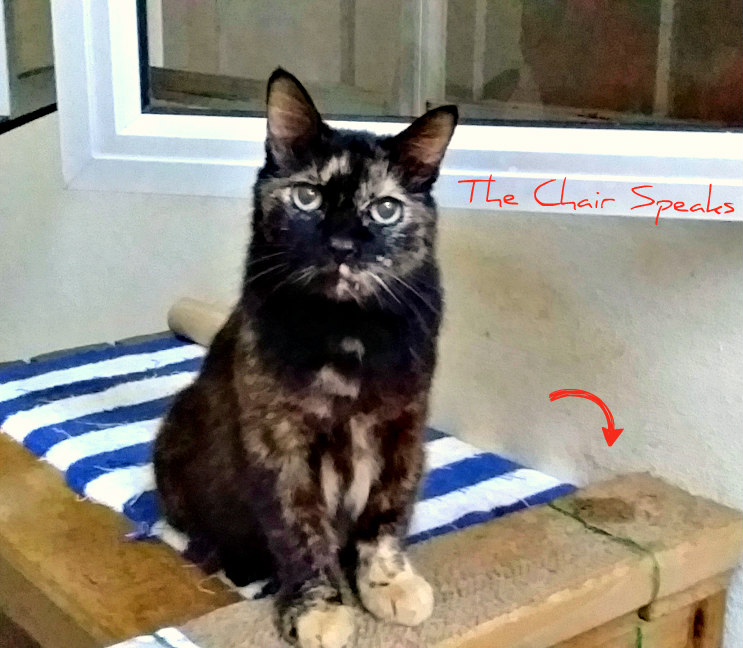 The Chair Speaks Wet Patch!