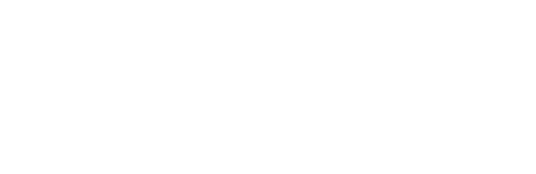 Repórter Tatu