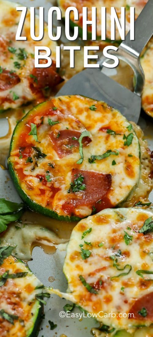 Zucchini Pizza Bites Recipes