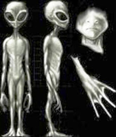 Razas de Extraterrestres