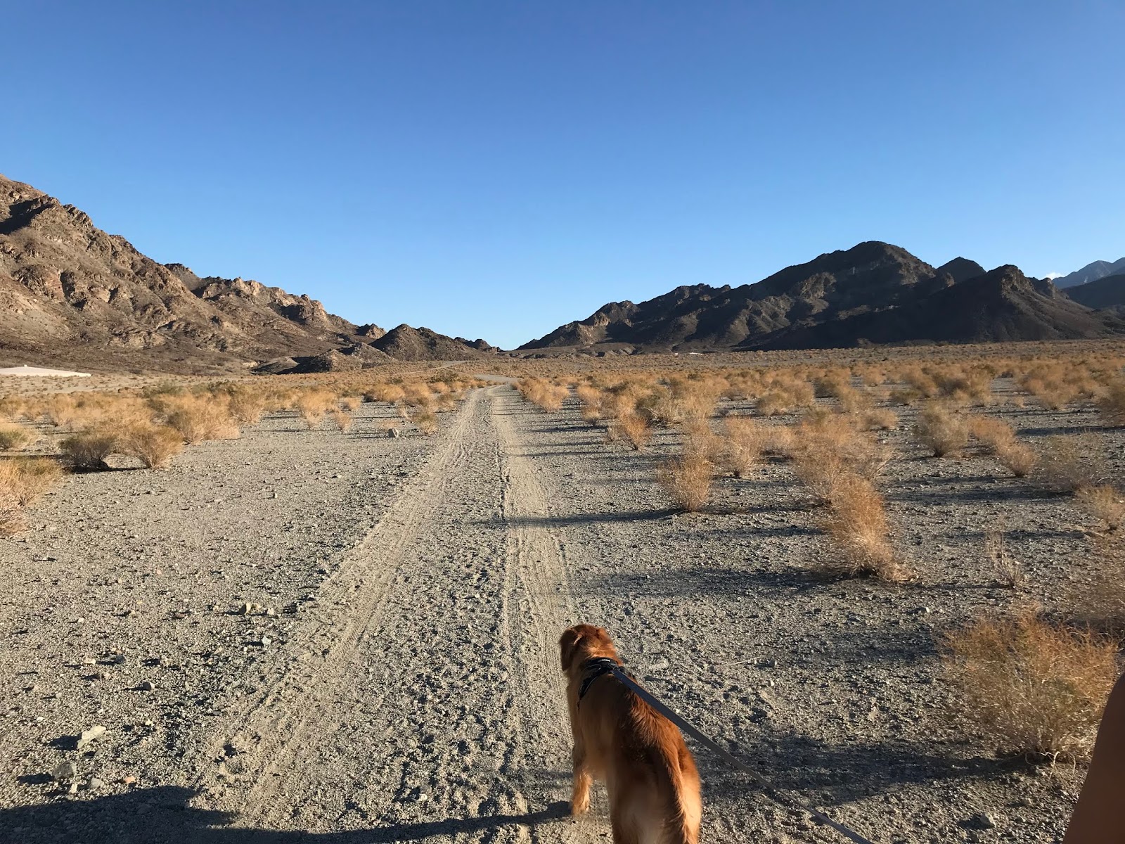 Cove Trails, La Quinta, CA November 2018