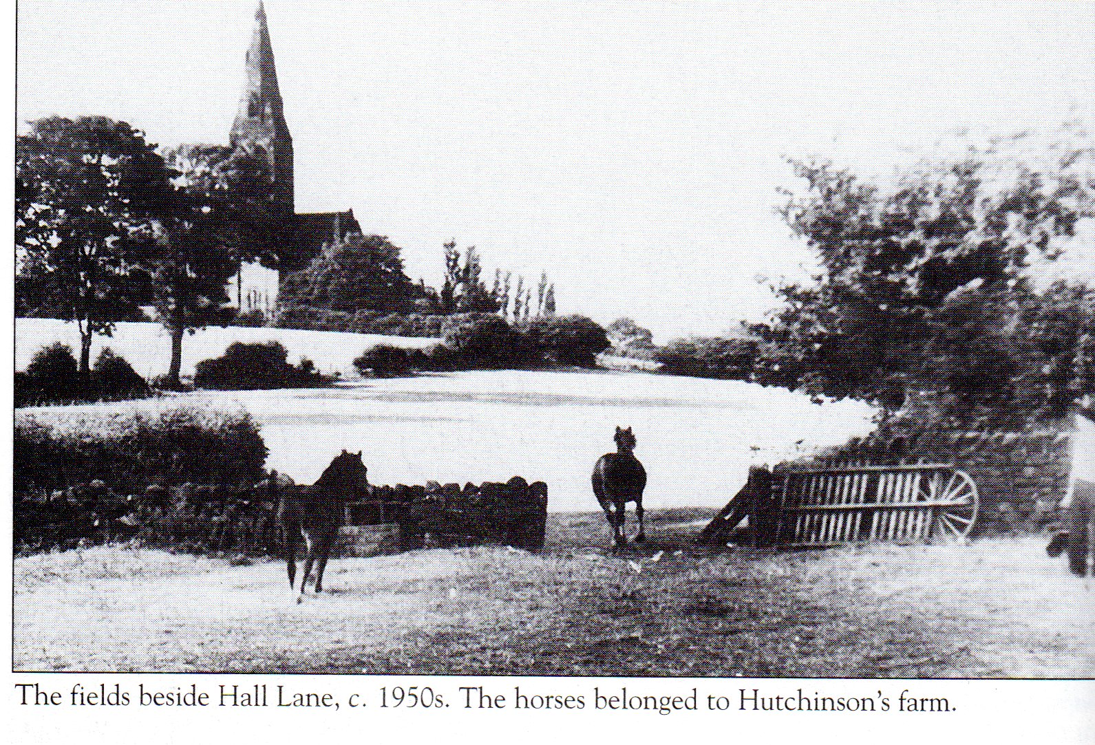 History Of Horsforth E19