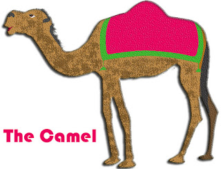 Study Essay on The Camel