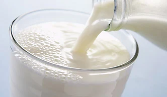 cheap-protein-milk