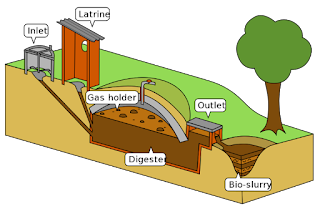 Biomass Energy, Biofule, Biogas Plant