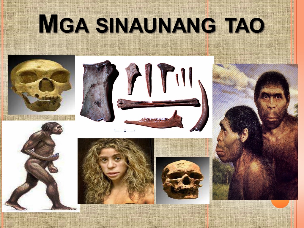 Sa Paanong Paraan Hinubog Ng Kapaligiran Ang Mga Sinaunang Tao | My XXX