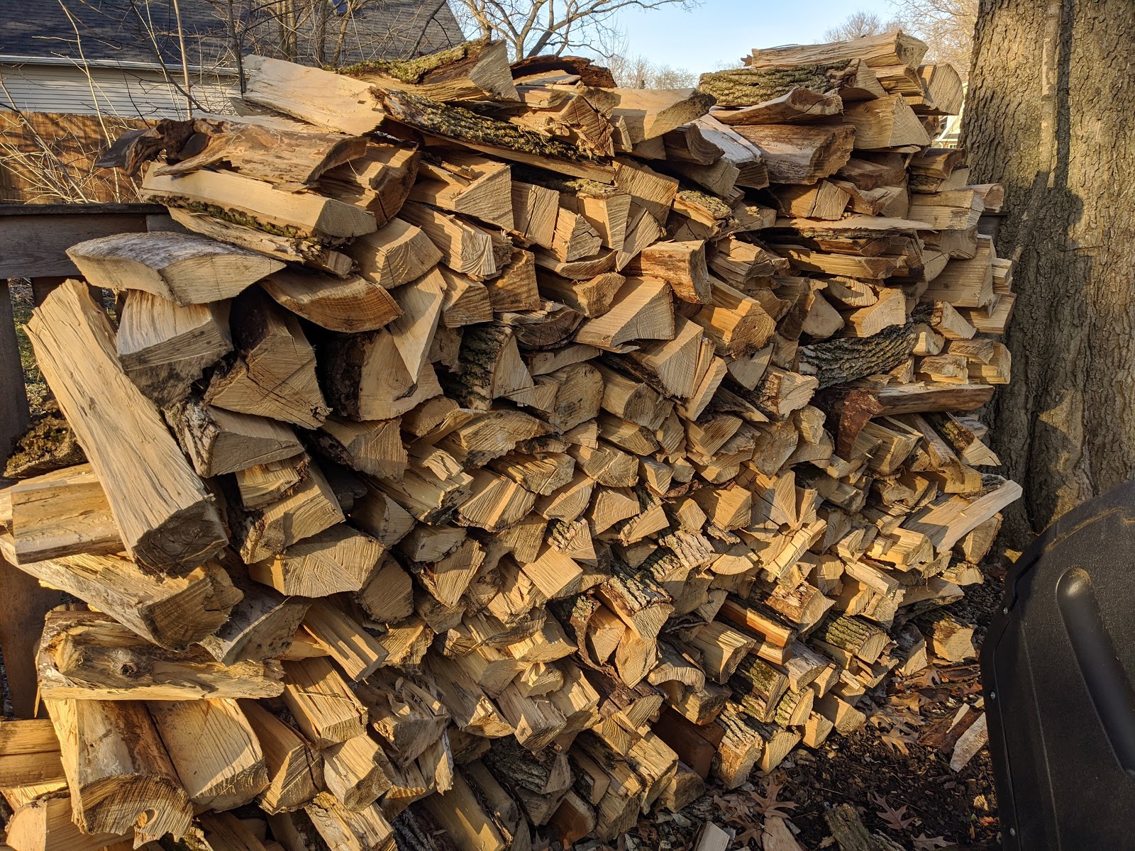Ash Firewood Seasoning Progress Three Months In