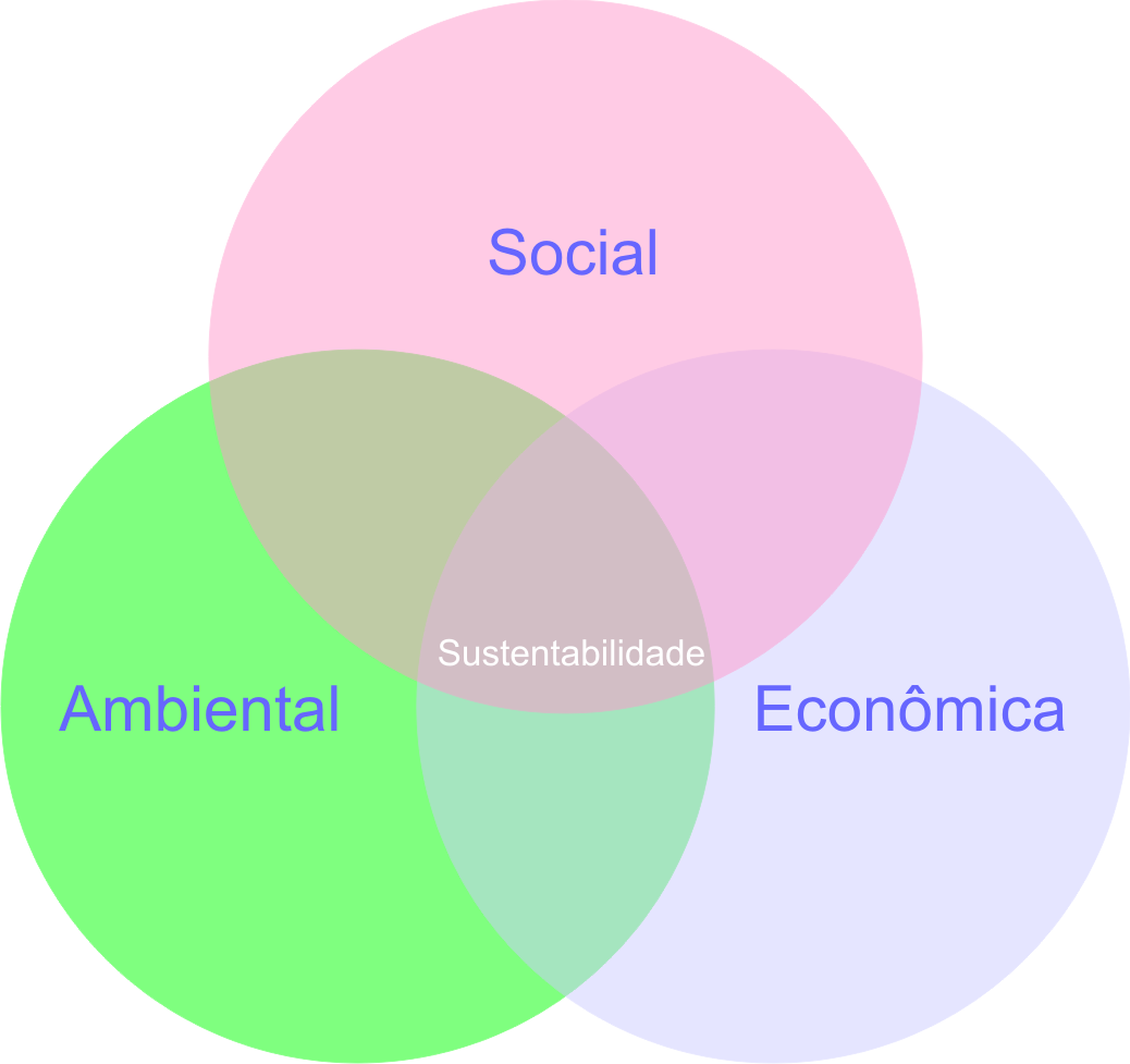 A Triple Bottom Line e a Abordagem Sistêmica
