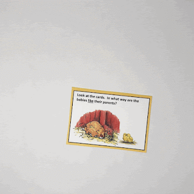 Sorting Cards for Animals and Their Babies