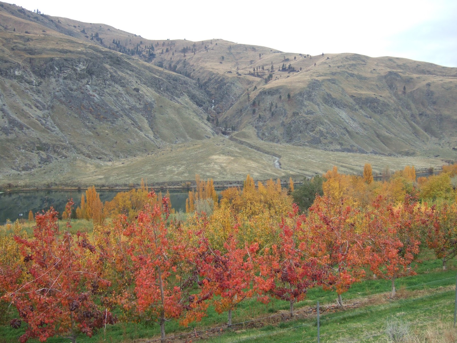 Reading the Washington Landscape Lost Coast of Douglas County