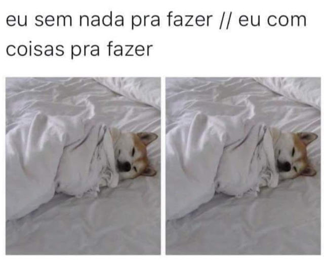 Memes Engraçados Memes Engraçados