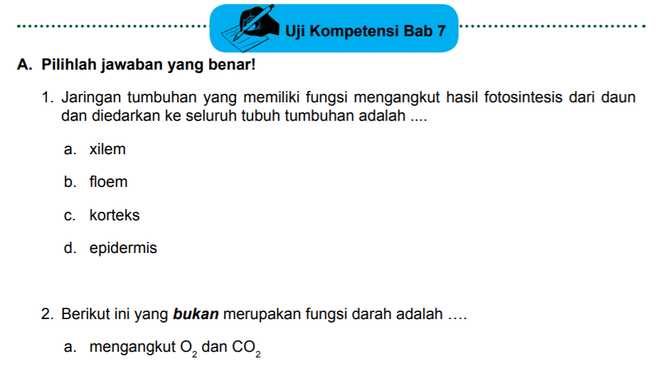 Jawaban Pg Uji Kompetensi Bab 7 Ipa Kelas 8 Halaman 28 30 Sistem Transportasi Bastechinfo