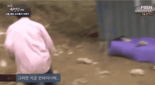 말벌 레전드