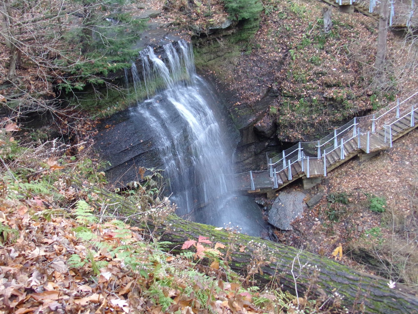 Buttermilk Falls Natural Area