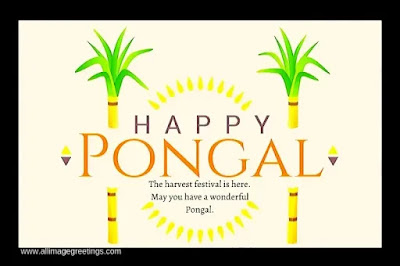 Pongal messages