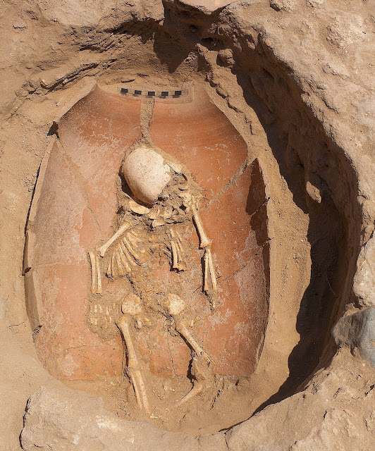 В захоронениях младенцев под земляным полом домов филистимлян была обнаружена древняя ДНК. Роберт Уолч / Предоставлено экспедицией Леона Леви в Ашкелоне