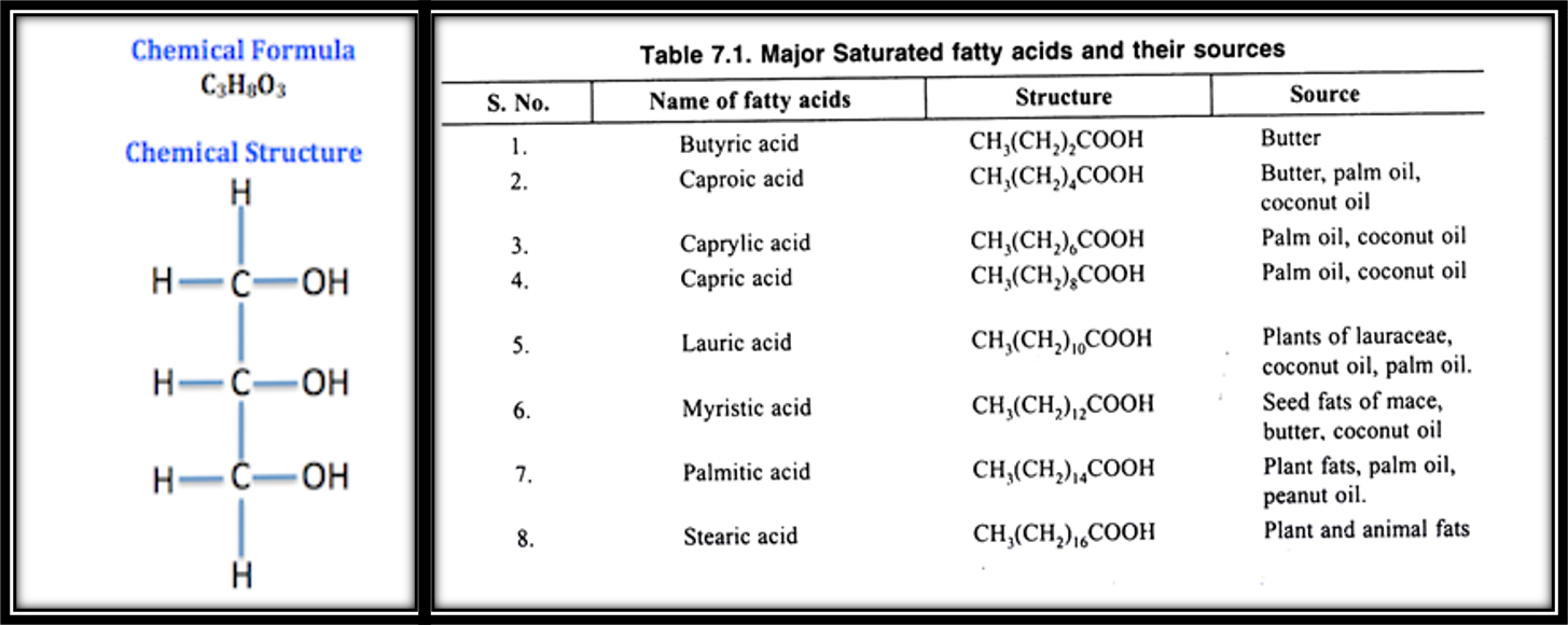 CHAPTER 1 BIOMOLECULES PART 2 LIPIDS