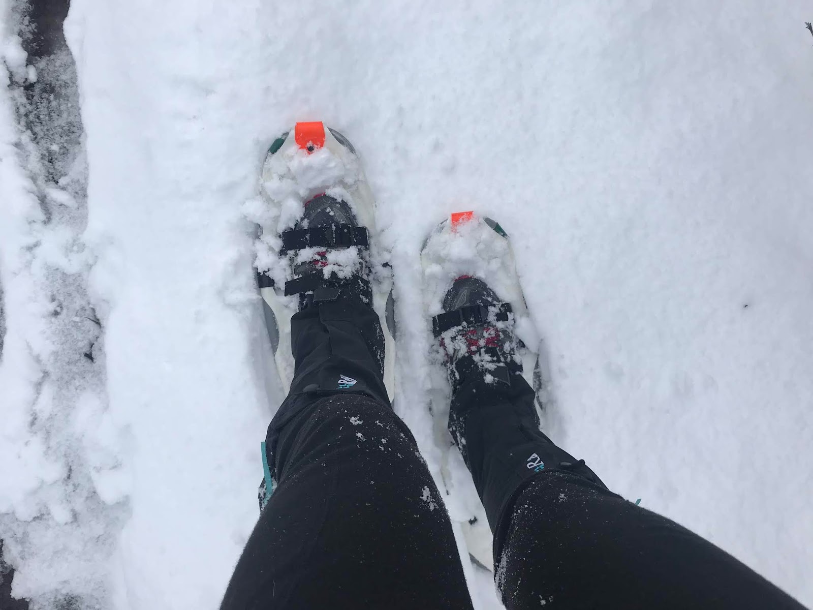 snowshoe run