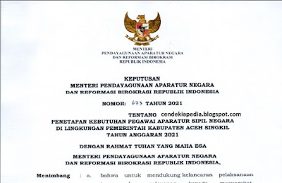 Rincian Formasi Casn Cpns Pppk Kabupaten Aceh Singkil Tahun 2021 Cendekiapedia