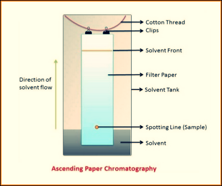 Paper Chromatography Principle, Instrumentation, and Applications