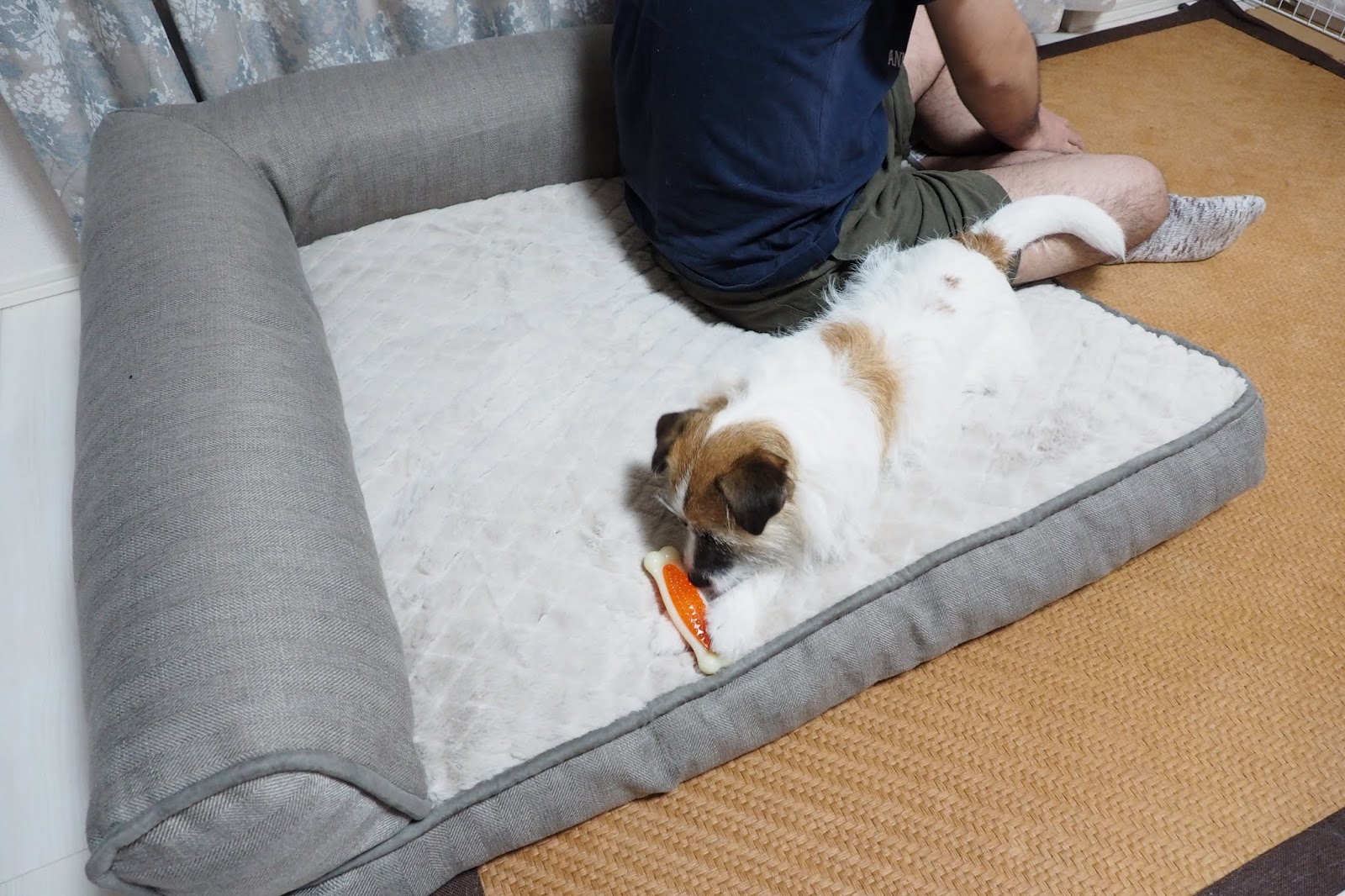もふもふゴワゴワ犬 攻略log コストコの犬ベッドを買ってみた とにかくデカい だがなかなかいい