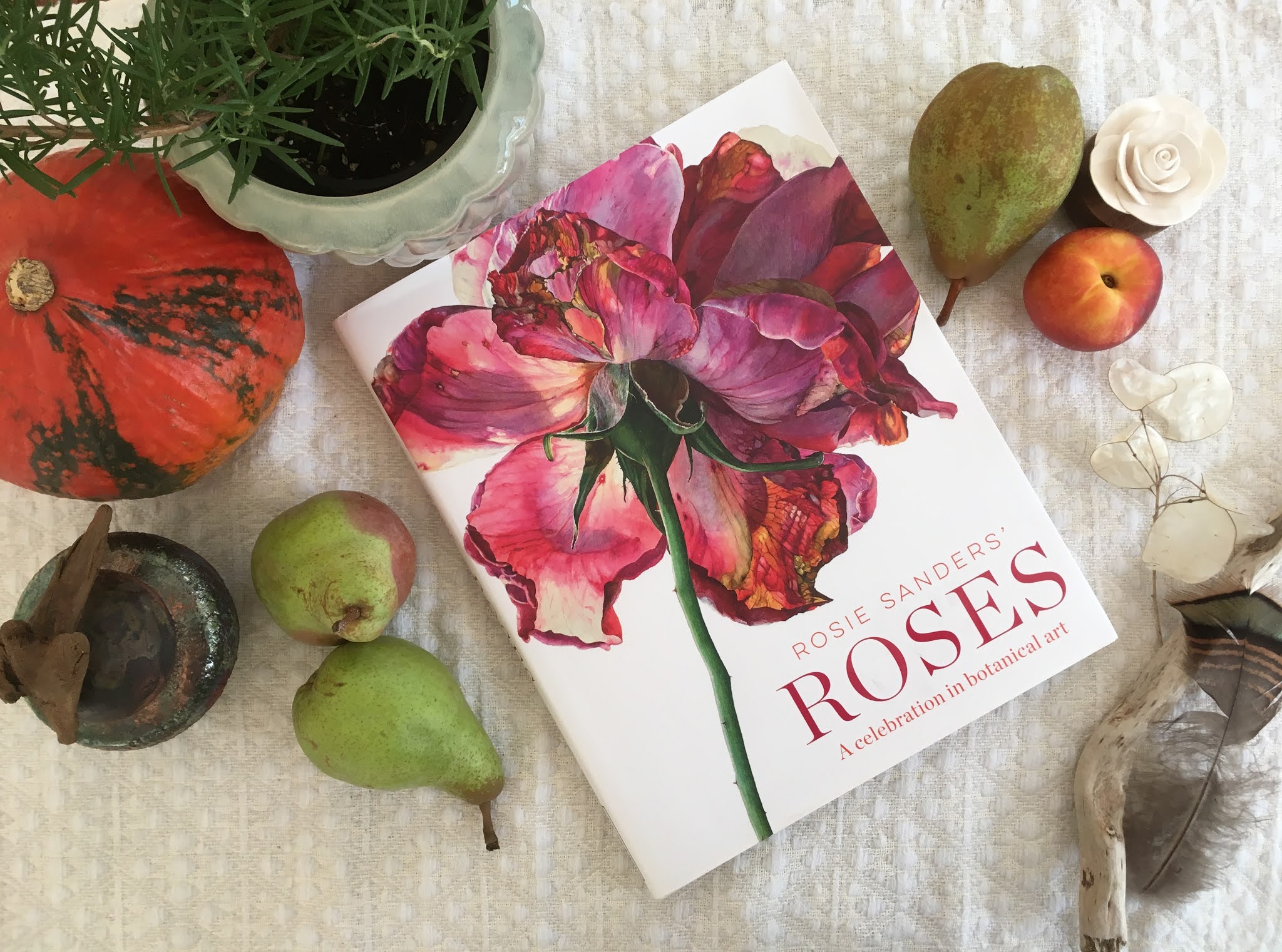 Rosa (@rosies.sketchbook) • Instagram-Fotos und -Videos