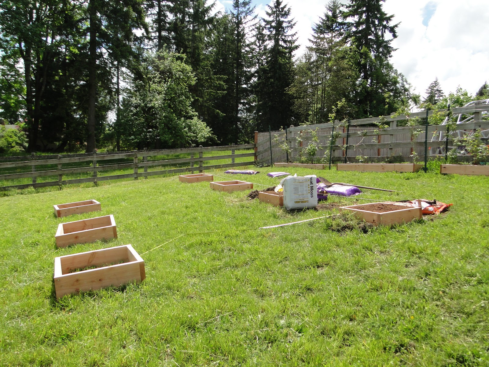 Garden Scrapbook Blueberry Raised Beds Part 2