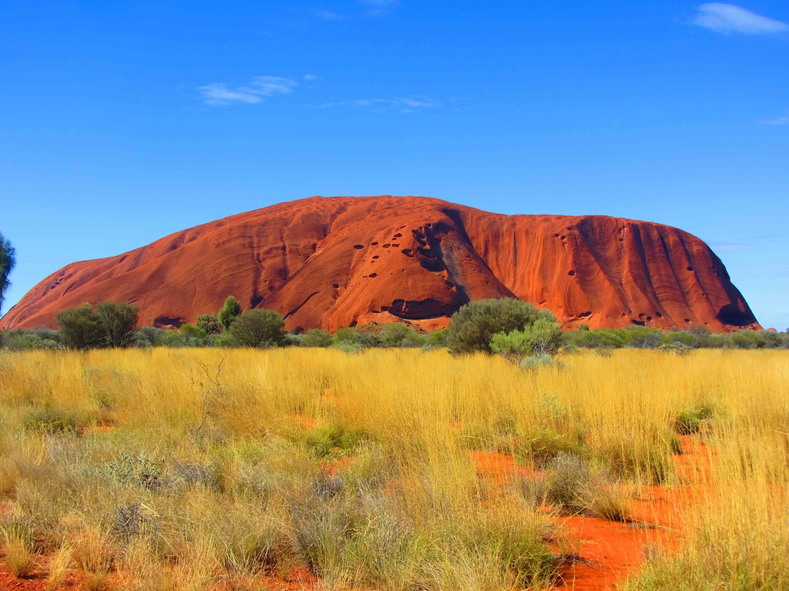 Abenteuer Australien: Outback Tour