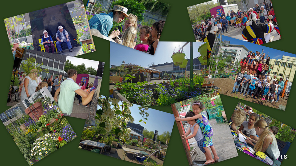 Hack Museumsgarten 2015