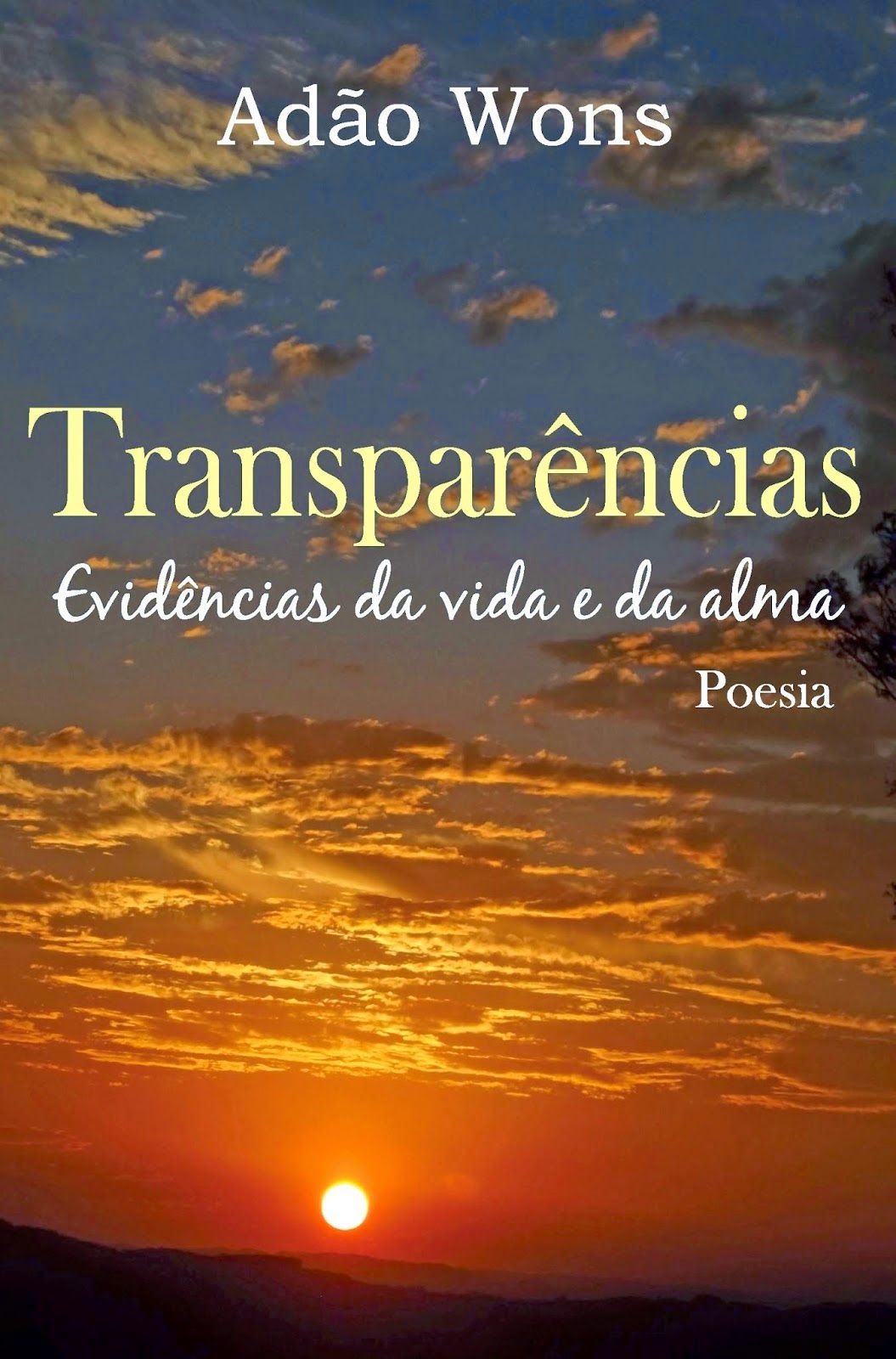 Transparências -Evidências da vida e da alma