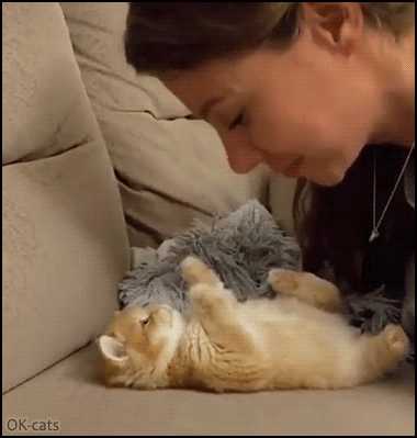Cute Kitten GIF • Girl kisses on mouth and belly her adorable kitty lying on its back Cute Kitten GIF • Girl kisses on mouth and belly her adorable kitty lying on its back